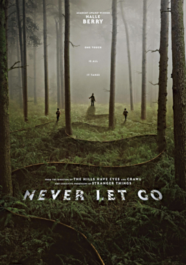 NEVER LET GO