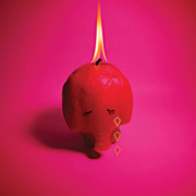 Pink Elephant (CD)