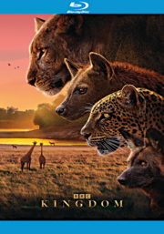 Kingdom (blu-ray) by null
