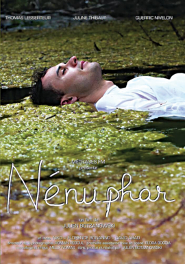 Nenuphar by null