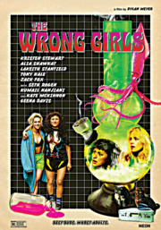 The Wrong Girls (DVD)