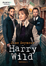 HARRY WILD: SERIES 5 (DVD)